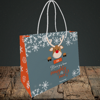 Picture of Naughty, (Without Photo) Christmas Design, Small Landscape Gift Bag