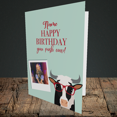 Picture of Cow, Birthday Design, Portrait Greetings Card