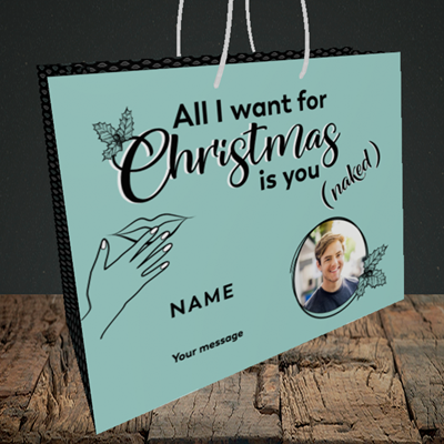 Picture of Naked Christmas, Christmas Design, Medium Landscape Gift Bag