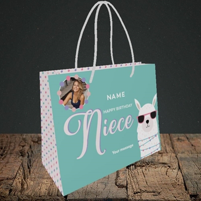 Picture of Niece(Lama), Birthday Design, Small Landscape Gift Bag