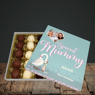 Picture of Mummy Swan, Mother's Day Design, Choc 25