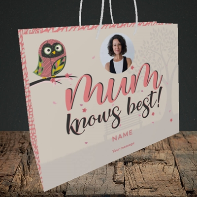 Picture of Mum Knows Best, Mother's Day Design, Medium Landscape Gift Bag