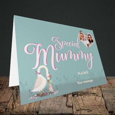 Picture of Mummy Swan, Mother's Day Design, Landscape Greetings Card